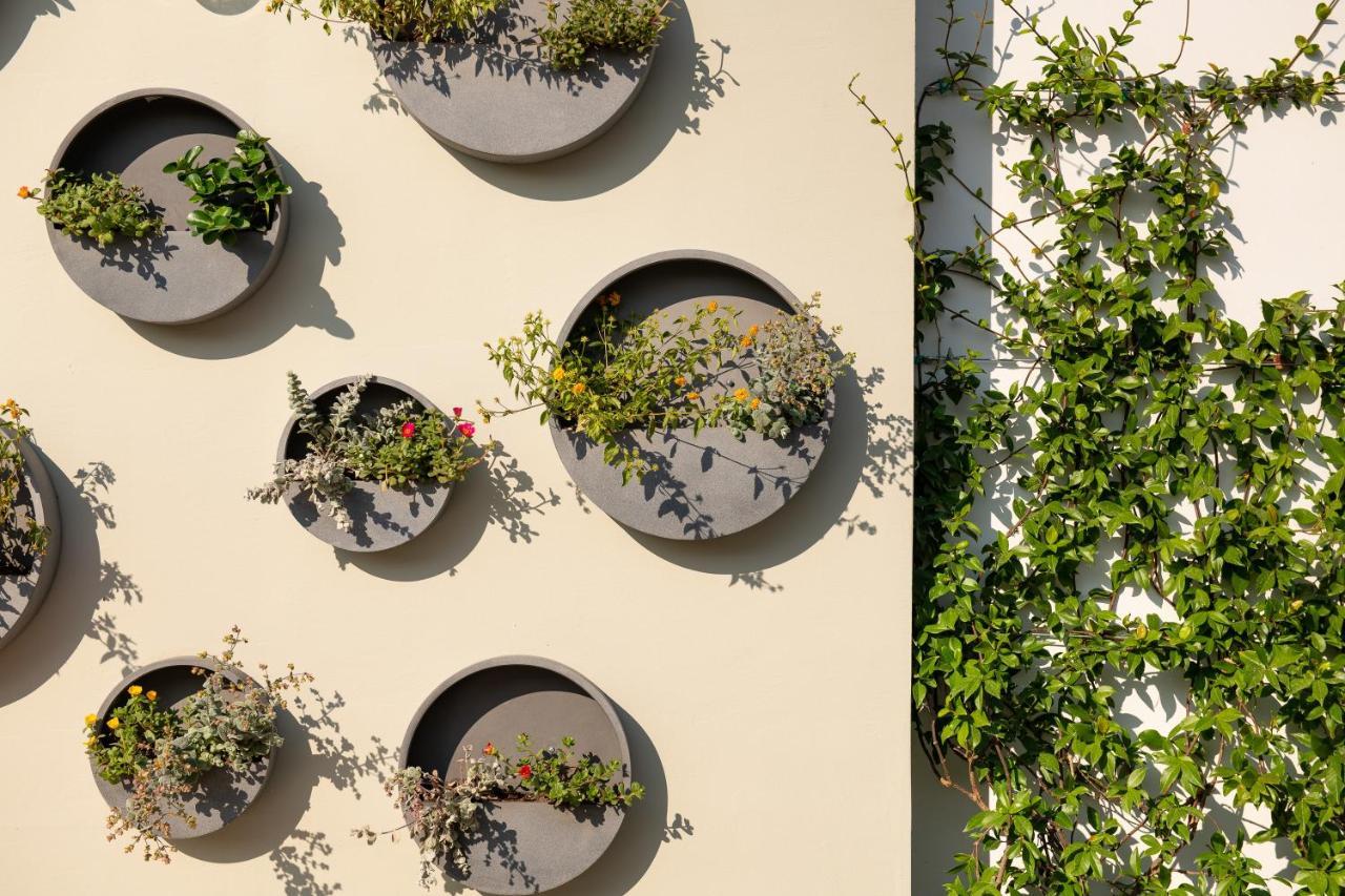 Alkima Athens Hotel Екстер'єр фото